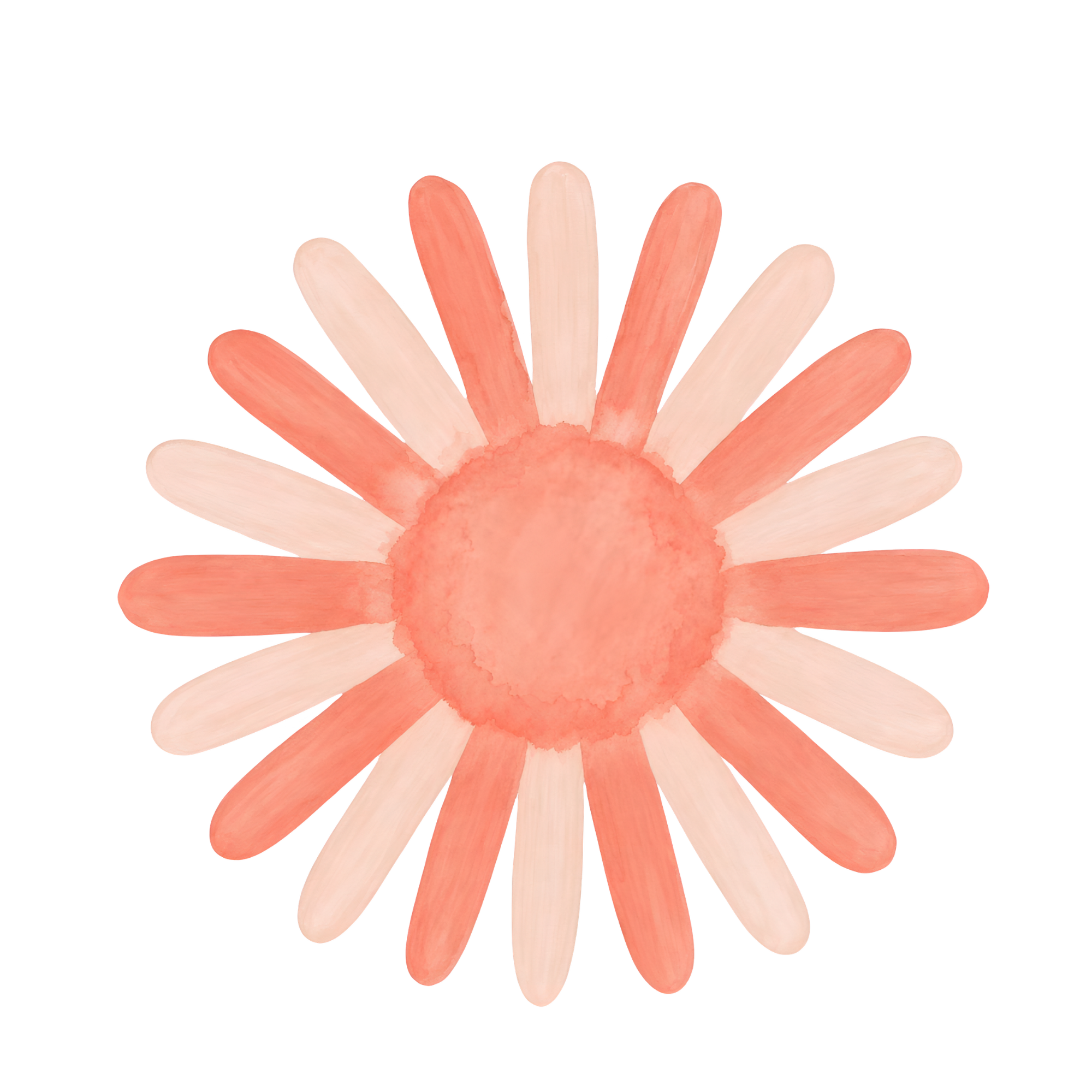 Pink Daisy